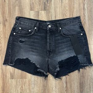 NWT EDWIN Cai Destructed Short